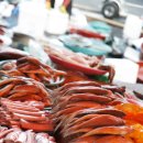 시종5일시장 이미지