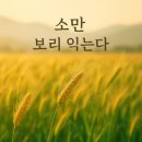 소만