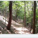 땅끝천년숲옛길 이미지