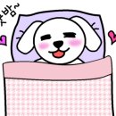 깐돌이네 애견미용호텔 이미지
