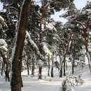 수산리-17 이미지