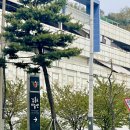 일산서구청소년수련관 상상창작 하나 | 경기도 안산 나들이 추천, 김홍도미술관에서 문화생활 즐겼어요.