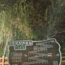 구포무장애숲길 주차장 화장실 이미지