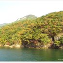 충주호관광선 장회나루 이미지