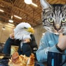 기백사우나 이미지