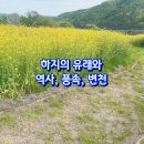 하지의 유래와 역사, 풍속, 변천