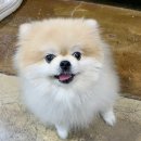 수다피부관리실 | [경기/남양주] 별내동 마사지샵 아로마요법 풀뷰티 피부관리실 내돈내산 후기