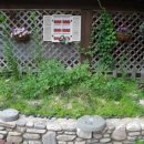 아레나펜션 이미지