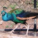 분토골농장 이미지