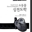 위케어동물의료센터 이미지