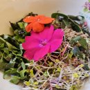 허브아일랜드 아테네홀 이미지