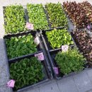 진홍농장 이미지