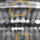 박경수치과의원 이미지