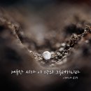 긍휼의집 | 언론·사법부·민주당·야당 좌파세력은 내란이라는 프레임을 걸어놓고 국민의 시선을 빼앗고 있지만...