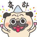 소담하개 이미지