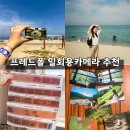 스마트폴(중곡1) | 프레드폴 일회용카메라 사용 후기 코닥 필름 현상 스캔 인화 다 되는 올인원 서비스