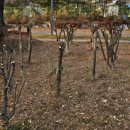 (주)을지건설 | 읽으라고, 블로그 보러 왔잖아!