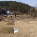 광산구-141 이미지