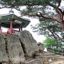 고란사 - 1398 | 고란사