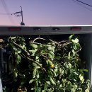 (주)큰나무 이미지