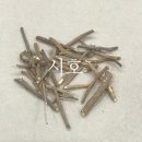 소망이 샘솟는 느티나무 한약국 이미지