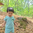 연산새소망세탁 | 아가방좋은 쿨시트 유모차 통풍시트 육아필수템 비교