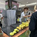 한보따리(대신본점) | 롯데백화점 부산본점 디저트 팝업 보따리제과점 내돈내산 후기