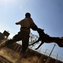 미래동물병원(산업동물진료) 이미지