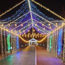 덕천빌딩~섬진철교 | 야간 별빛 조명으로 불야성을 이룬 하동의 밤은 황홀하다