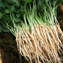 선호농장 이미지