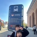 라이온스태권도 이미지