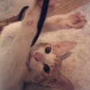 구포2동-4 이미지