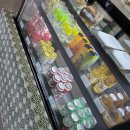 대백애견 이미지