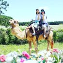 김경진농장 이미지