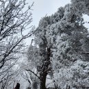 문경 「어룡산(魚龍山)환종주 20km」 /.. 은은한 청빙소리 들으며.. 이미지