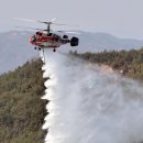 안동·예천·영주산불 진화 완료..축구장 357개 면적 불타(종합) 이미지