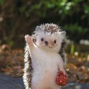 선단 PC방 이미지