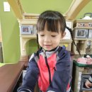 푸른나무카페 Daum카페