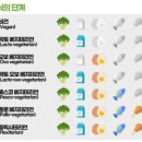 굿모닝샐리 이미지