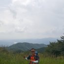 유명사 이미지