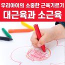 육아정보 유아기발달 대근육 소근육 기르는 방법 이미지