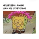 가좌동물병원 | 부지런히 행복했던 주간