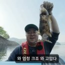 어부건강원