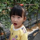 영욱농장 이미지