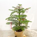 사계절꽃집 이미지