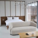스테이하연 이미지