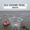 방아머리로 | 대부도 방아머리해변 조개 서울근교 겨울 동죽 갯벌체험 솔직후기: 주차·복장 꿀팁