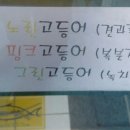 고등어빵집 이미지