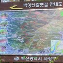 운수천계곡(1) 이미지