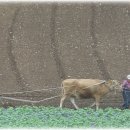 향-고향의 정 이미지